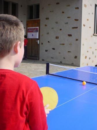 Sport- Ping Pong