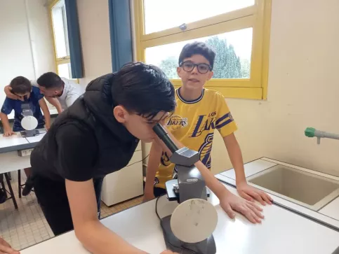 Découverte du microscope