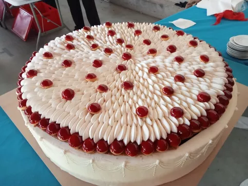 Le superbe gâteau d'anniversaire de notre marraine Nina Métayer